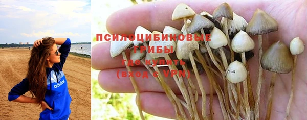 a pvp Баксан