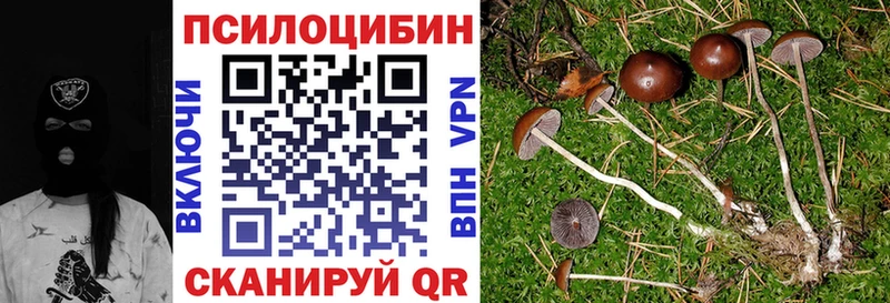 omg ССЫЛКА  Курганинск  Галлюциногенные грибы Cubensis 